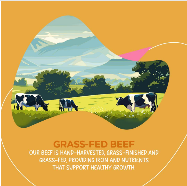 Grass-fed Beef Pouches